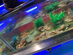 -V-ONE西雅图海鲜自助餐厅(仓山万达广场店)