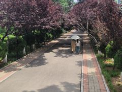 -山东师范大学(千佛山校区)