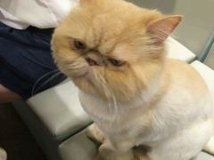 -小时光咖啡馆(开森度假森林店)