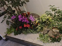 -福州长乐国际机场