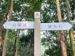 -火炉山森林公园