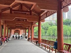 -重庆彩云湖湿地公园