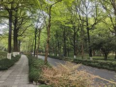 -杭州植物园