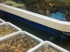 -大众海鲜(巨龙北路店)