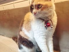 -CENCHI 汵奇咖啡(东四店)