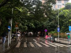 -华农酸奶(五山直营店)