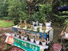-德庆盘龙峡生态旅游区