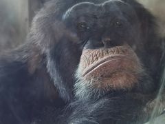 -秦皇岛野生动物园