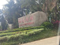 -呀诺达热带雨林