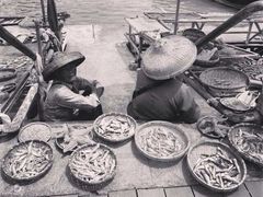 -大湾区中央湿地公园-十九涌