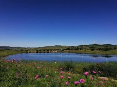 -塞罕坝国家级自然保护区