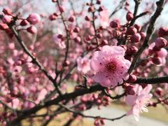 -白塘生态植物园