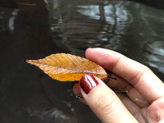 -天目湖御水温泉·度假酒店