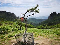 -秦岭风景区
