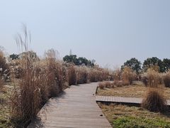 -良渚古城遗址公园