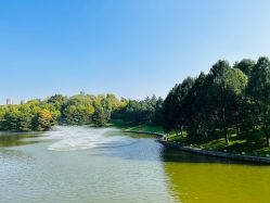 -御宴宫·宴会厅