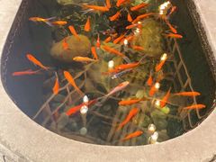 -黄家码头老火锅(解放碑旗舰店)