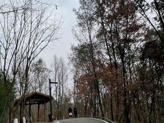 -黄龙溪欢乐田园