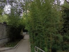 -南长河公园