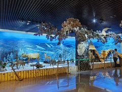 -呼伦贝尔民族博物馆