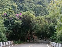 -大雁山风景区