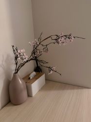 -POCO宝珂丽科技美肤