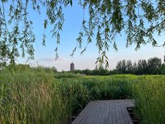 -永定河休闲森林公园