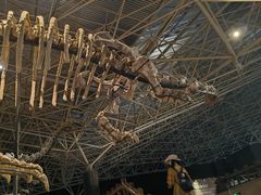 -世界恐龙谷景区