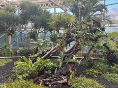 -石家庄市植物园