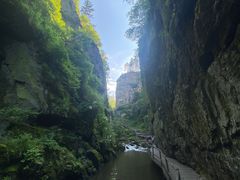 -茅兰沟国家森林公园
