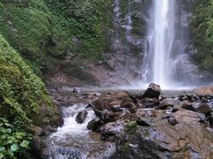 -莫里热带雨林景区