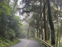 -莫干山风景区