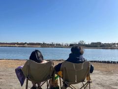 -春花秋色城市公园