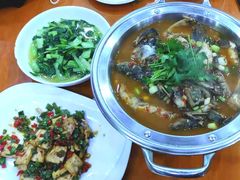 -全乐鱼馆·淳牌有机鱼直营店