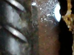 -西湖外事游船(花港观鱼码头)