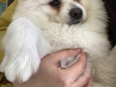 -怪兽屋·羊驼·猫咖·狗咖(俊华广场店)