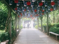 -白马涧龙池景区