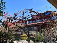 -大连金石滩绿发温泉假日酒店