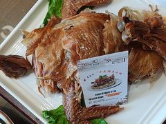 -崂山印象·青岛·海鲜渔家菜
