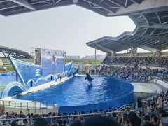 -上海海昌海洋公园