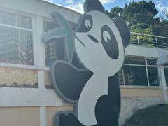 -石排湾郊野公园