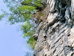 -蝶舞清江·恩施地心谷景区