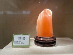 -北京中医药大学-中医药博物馆