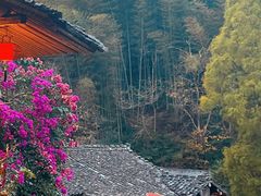 -林坑古村落