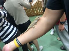 -藦茜花园宠物主题亲子互动体验馆(国顺东路店)