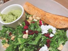 煎三文鱼牛油果色拉-Wagas沃歌斯(大学路店)