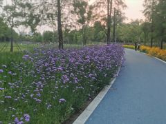 -昆山城市生态森林公园