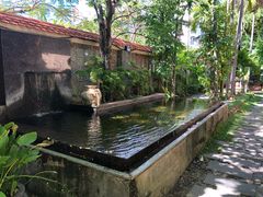 -Lam Vien Restaurant