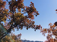 -周口店坡峰岭风景区