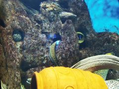 -福州罗源湾海洋世界旅游区
